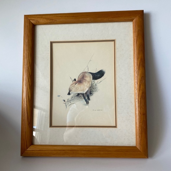 RED FOX ART Print by Glen Loates Canadian Wildlife Artist Vintage Framed - Picture 3 of 5
